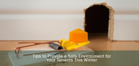 Tips for a Safe Tenant Environment This Winter