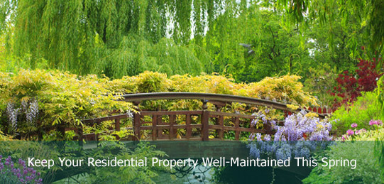Spring Maintenance Tips for Your Residential Property
